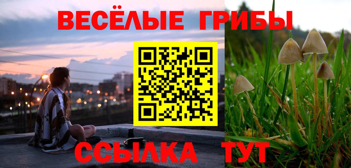 Галлюциногенные грибы ЛСД Алексеевка