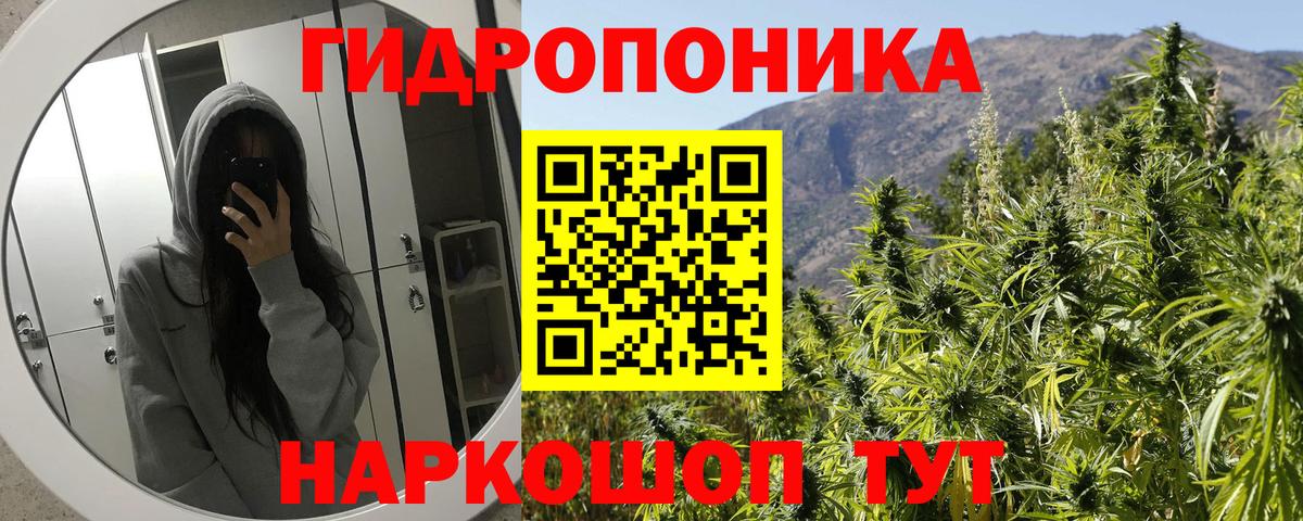 Бошки Шишки марихуана Алексеевка